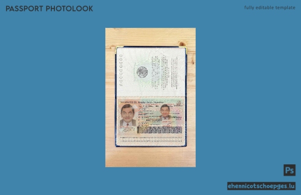 Beispielansicht eines Passfotos für Mexiko